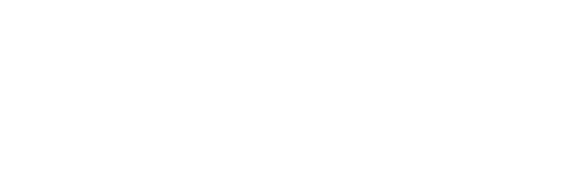 Swiv